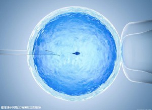 高龄二胎成功案例